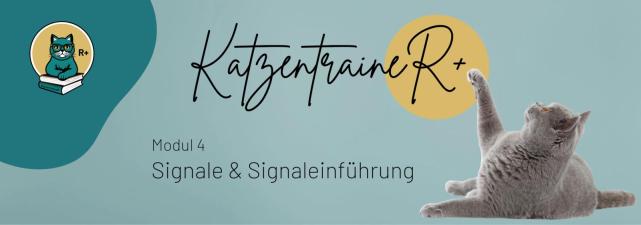 Modul 4 - Signale & Signaleinführung