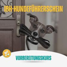 Vorbereitungskurs für den IBH-Hundeführerschein