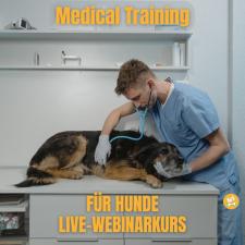 Medical Training - Live-Webinarkurs für Entspannung bei Tierarzt und Körperpflege