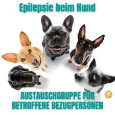 Ankündigung für unsere monatliche Austauschgruppe: Hunde mit Epilepsie