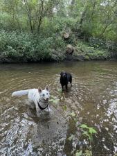 Gruppenspaziergang