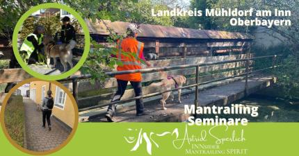 Mantrailing Wochenend Seminare