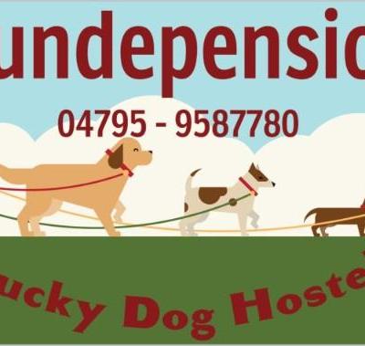 Hundepension LUCKY DOG HOSTEL