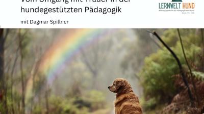 Abschied nehmen - Vom Umgang mit Trauer in der hundegestützten Pädagogik (20.02.2025 - 06.03.2025)