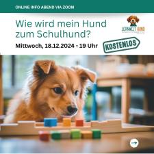 Wie wird mein Hund zum Schulhund?