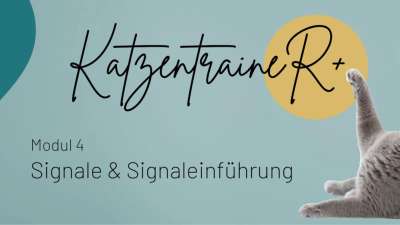 Modul 4 - Signale & Signaleinführung