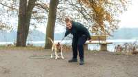 Cinta Hamacher und die Kraft von Videos im Hundetraining