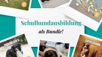 Schulhundausbildung: Bedürfnisorientiert und auf Augenhöhe mit dem Hund!