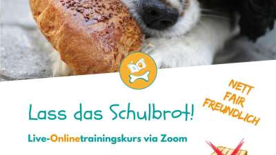 Onlinekurs: "Lass das!" (Livetraining via Zoom) (27.03.2025)