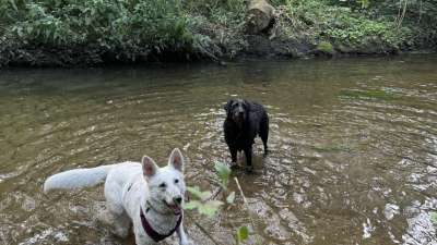 Gruppenspaziergang