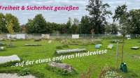 INNsider Hundewiese Ampfing - die etwas andere Hundewiese