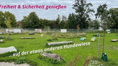 INNsider Hundewiese Ampfing - die etwas andere Hundewiese