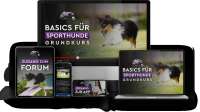 Basics für Sporthunde