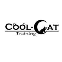 cool-cat.training by Anita Kijek