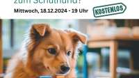 Wie wird mein Hund zum Schulhund?