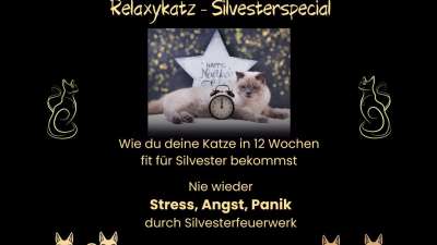 Relaxykatz – Silvesterspecial