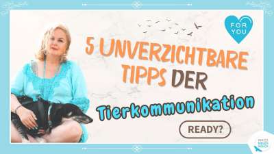 Die 5 wichtigsten Tipps aus der Tierkommunikation