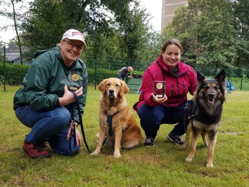 JoLuCo Teamschmiede für Hund und Mensch