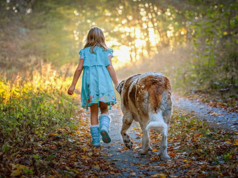 Hundeschule Frei Schnauze Verhaltenstherapie für Tiere