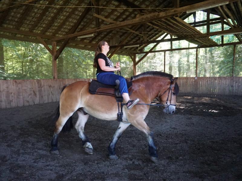 TRiM e. V. - Therapeutisches Reiten im Münsterland -