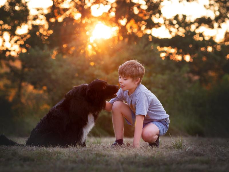 Canoidea - Die andere Hundeschule