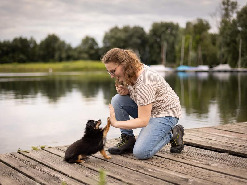 Hundeschule Pack Love