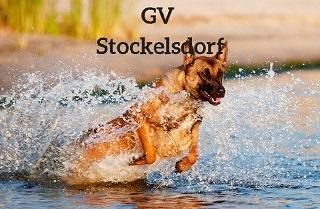 Gebrauchshunde Verein Stockelsdorf