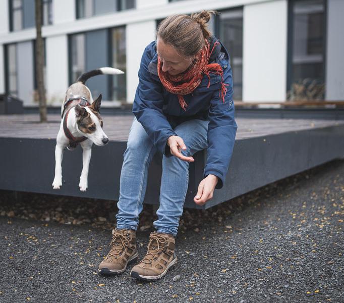 Hundebotschaft Hundeschule "Jasmin Goldschmidt"