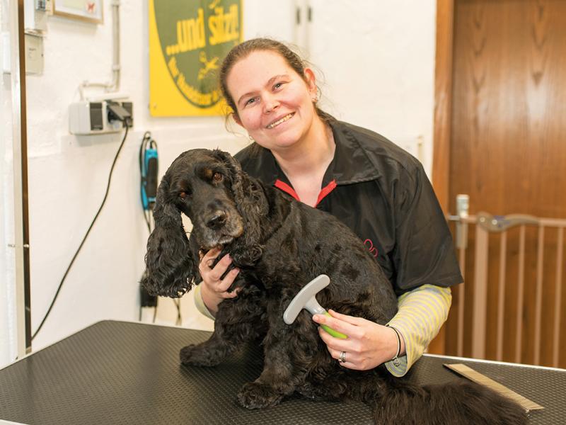 Hundefriseur und sitzt