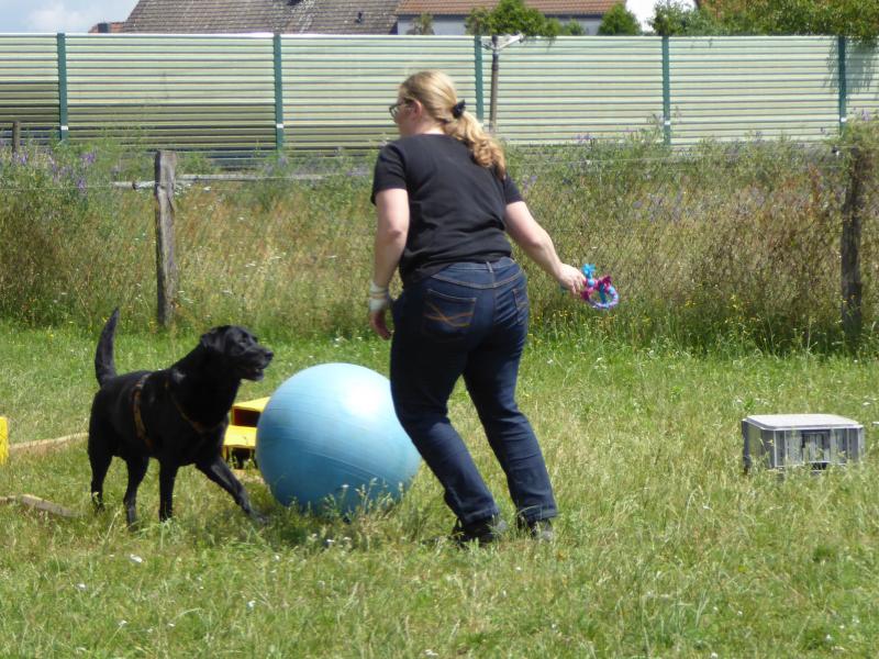 Hundeschule Groß und Klein