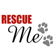 Homeless Paws Endeavour e.V