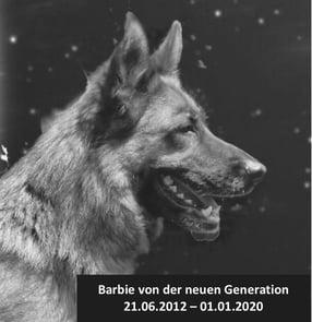 Zuchtstätte für Deutsche Schäferhunde "von der neuen Generation" Zuchtstätte für Deutsche Schäferhunde "von der neuen Generation"