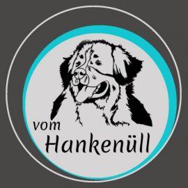 e vom Hankenüll