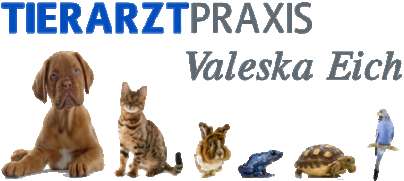 Tierarztpraxis Valeska Eich in Budenheim / Nähe Mainz
