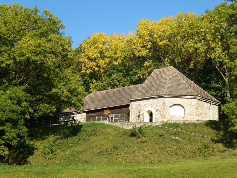 Hundesportverein Thüringer Pforte Sachsenburg e.V.