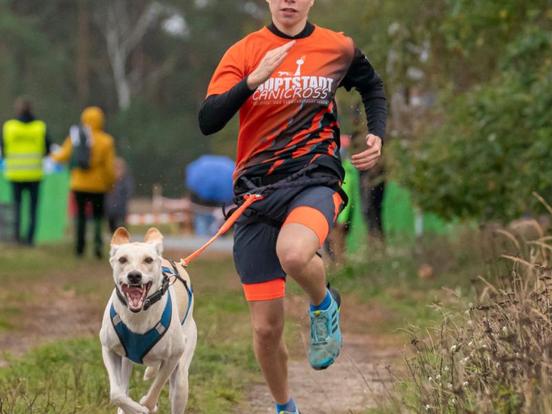 Hauptstadt Canicross Schlitten- und Zughundesport e.V.