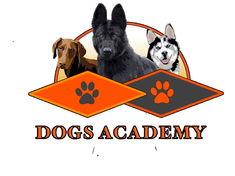 Dogs Academy