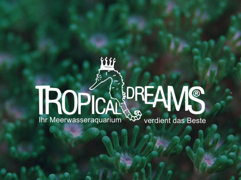 Martin Jürgens - Tropical Dreams Fachgeschäft für Meerwasseraquaristik