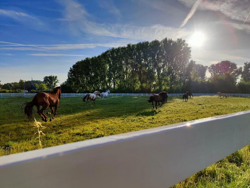 Reitsportgruppe Eddersheim a. M.