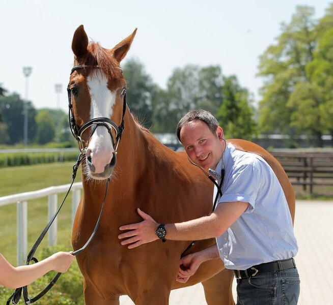 Dr. med. vet. Frank Reimann Tierarzt für Pferde