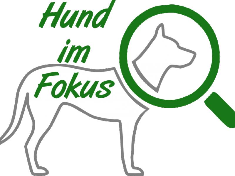 Elke Porath Hundeschule Hund im Fokus