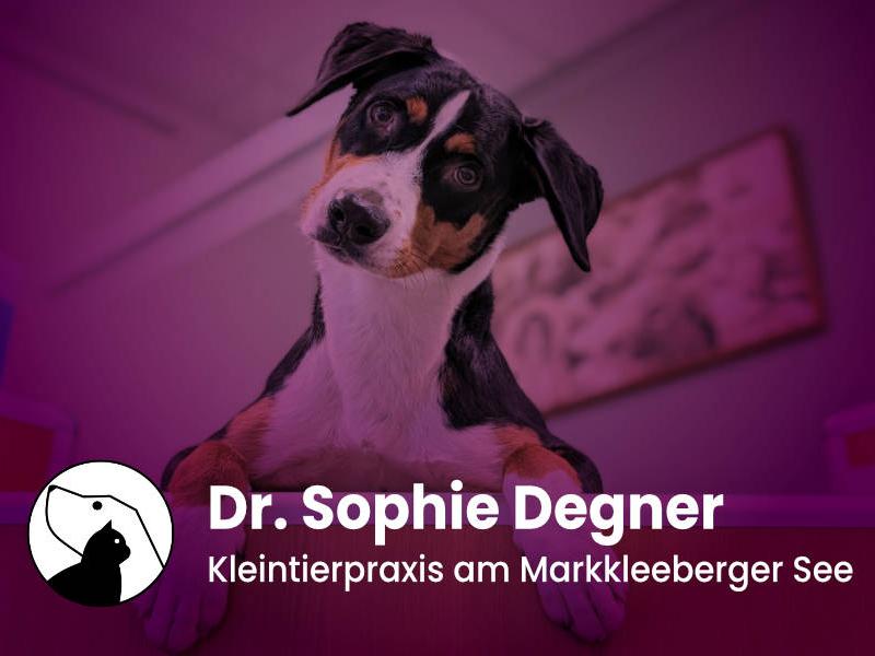 Rohrbach Bettina Dr. Fachtieräztin für Kleintierkrankheiten und Augenheilkunde