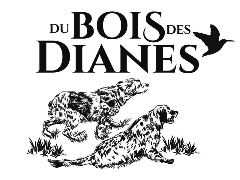 DU BOIS DES DIANES