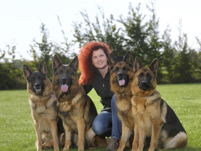 Klaus Meyer Hundeschule und Pension Armstedt