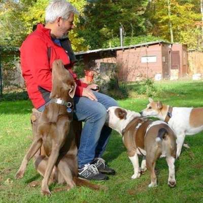 Hundepension Am Waldesrand