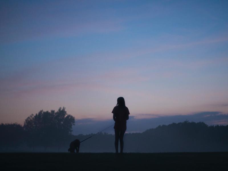 Hundeschule Kluge Hunde