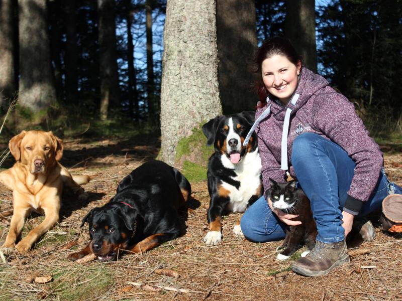 Mobile Hundeschule