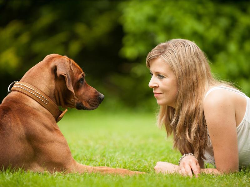 Hundeschule Braver Lumpi