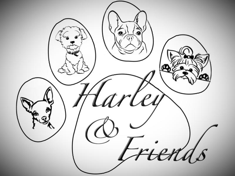 Harley & Friends