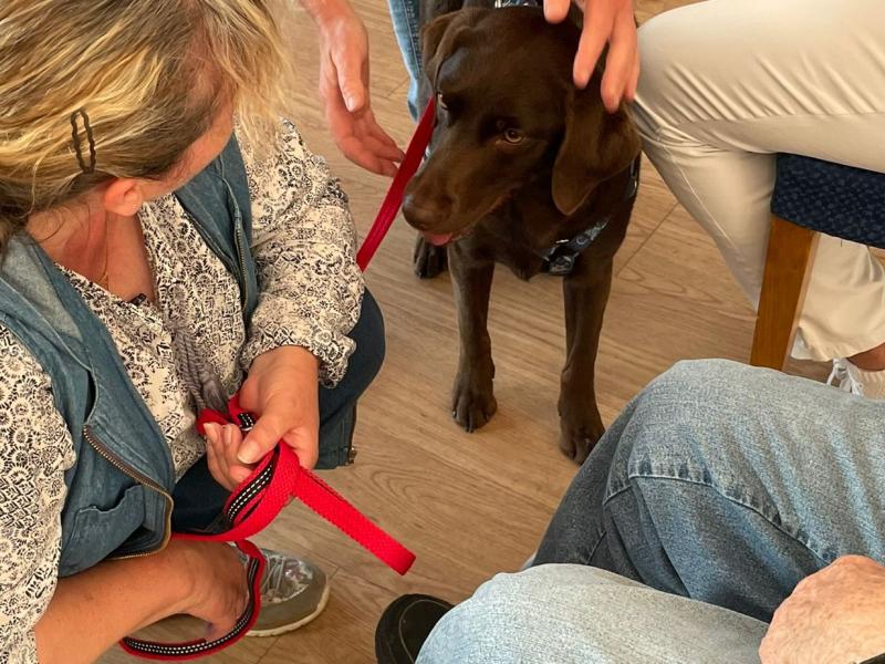 Hundeschule Telgte Westbevern